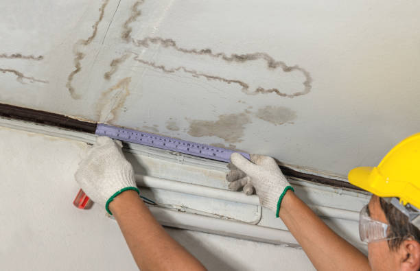 Reliable Flood Cleanup contractor in Ward, CO by Water Damage Irwin